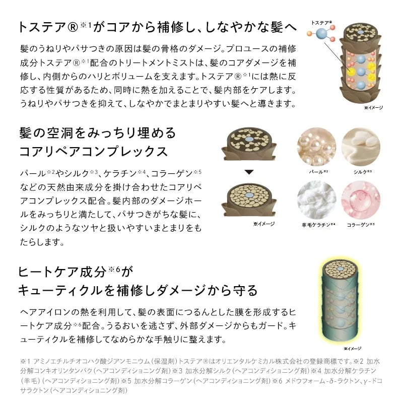 リファトリートメントアイロン セット　シャンパンベージュ