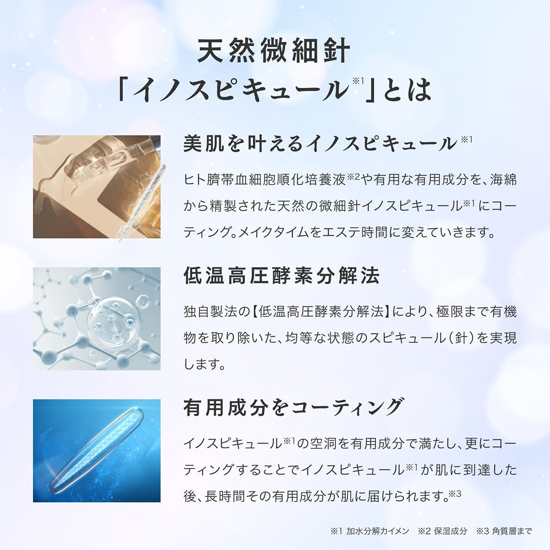 V3 エキサイティングファンデーション