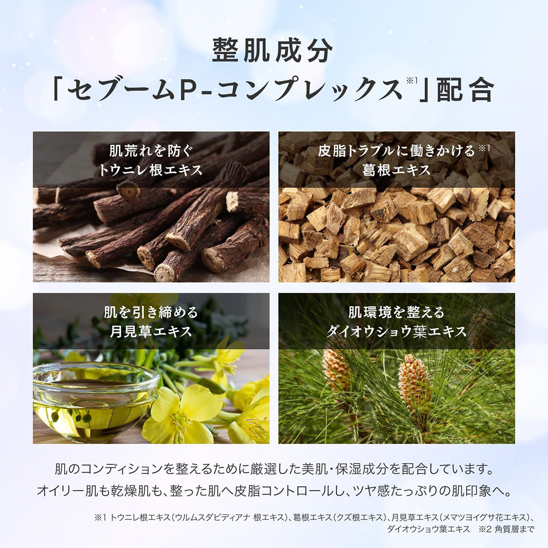 V3 エキサイティングファンデーション